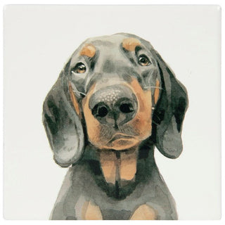 Licks & Kisses Dachshund Coaster