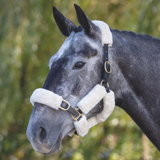 ARMA SupaFleece Halter Fleeces