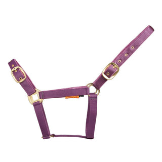 Suede Padded Headcollar