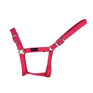 Suede Padded Headcollar