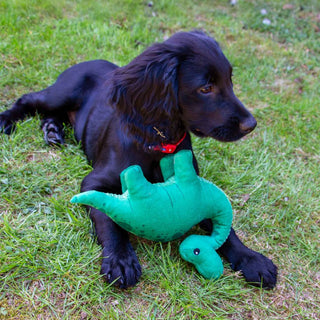Small Bite Dino