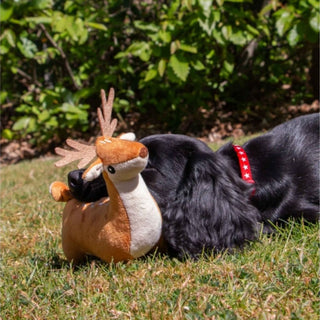 Small Bite Deer