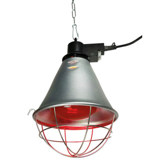 Stockshop Eco Lamp Holder