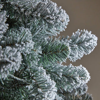 Three Kings Snowy King Pine Tree