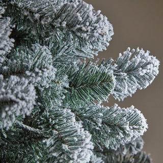 Three Kings InLit Snowy King Pine Tree