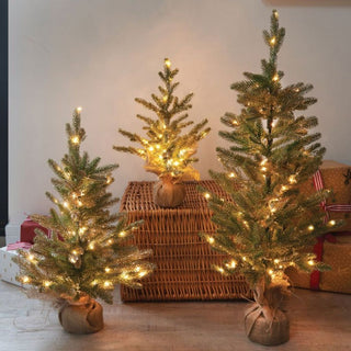 Three Kings InLit Sparkly Fir Tree