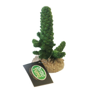 Betta Terra Peanut Cactus