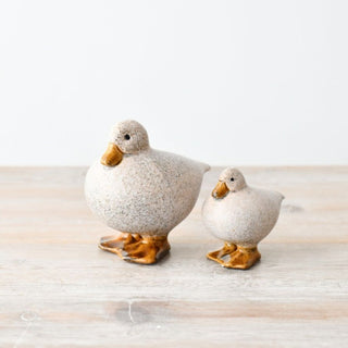 Speckled White Fat Duck