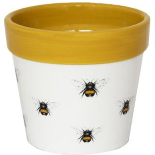 Cacti Planter Bumble Bee