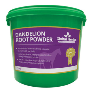 Global Herbs Dandelion Root Powder