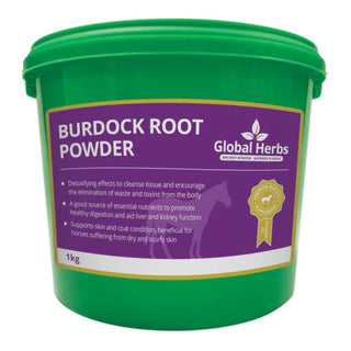 Global Herbs Burdock Root Powder