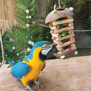 Foraging Hut Parrot Toy Large
