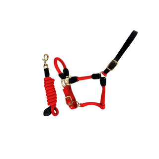 Cameo Rope Leather Halter & Rope