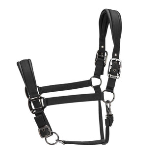 ARMA Pro Padded Headcollar
