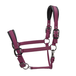 ARMA Pro Padded Headcollar
