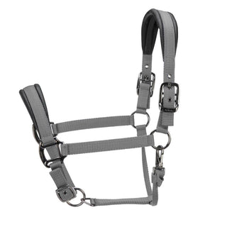 ARMA Pro Padded Headcollar