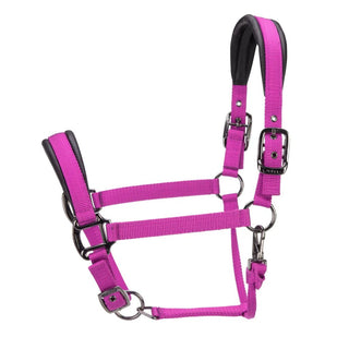 ARMA Pro Padded Headcollar