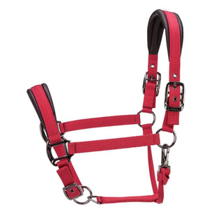 ARMA Pro Padded Headcollar
