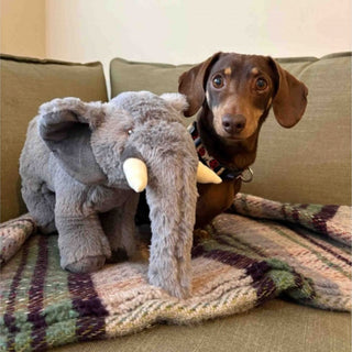 Made From Edgar Elephant