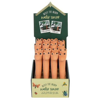 Large Willy The Terracotta Worm