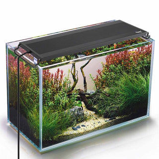 Hygger Slim Full Spectrum LED