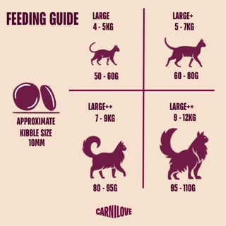 Carnilove Active Cat Large Breed Salmon & Turkey