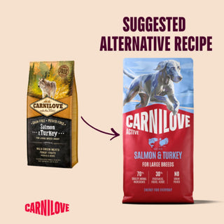 Carnilove Dry Dog Food Salmon & Turkey Adult Large Breed