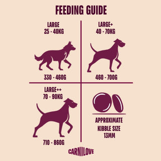 Carnilove Dry Dog Food Salmon & Turkey Adult Large Breed