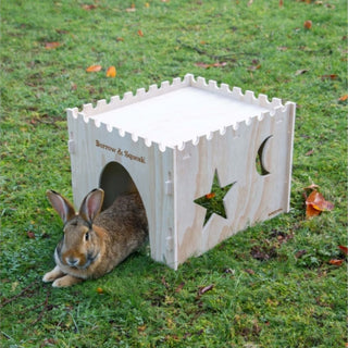 Small Pet Castle