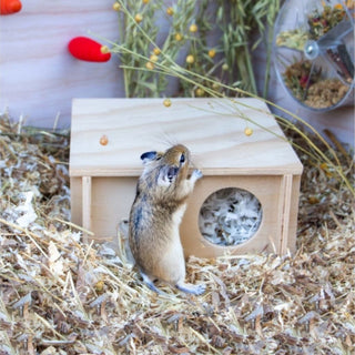 Small Pet Wooden Hide Small