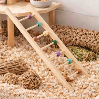 Wooden Ladder
