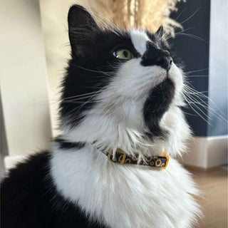 Sunflower Cat Collar
