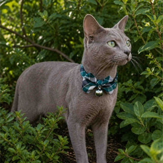 Green Tartan Bow Tie Cat Collar