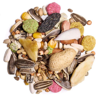 Countrywide Super Deluxe Fruity Parrot 2.5kg