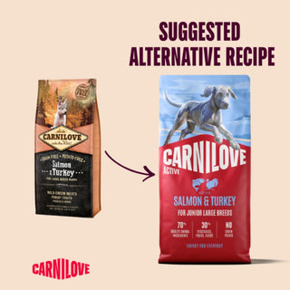 Carnilove Active Large Breed Junior Salmon & Turkey