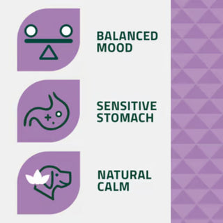 Arden Grange Adult Calming
