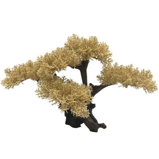 Aqua One Azalea Tree