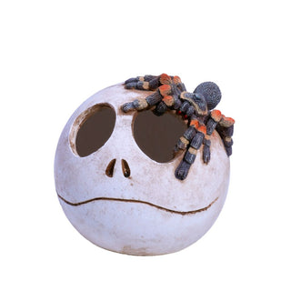 Aqua One Tarantula's Ghost Skull Hide