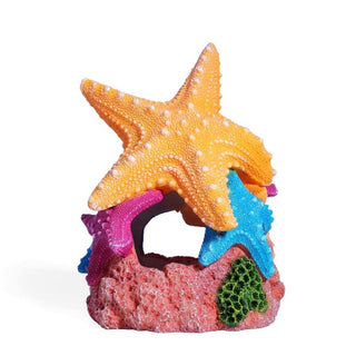 Aqua One Starfish Family