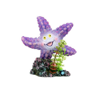 Aqua One Starfish Purple