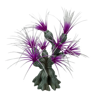 Aqua One Fireworks Anemone