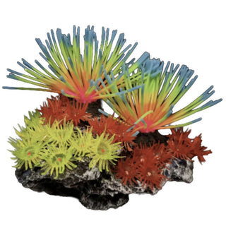 Spectrum Fusion Corals On Rock