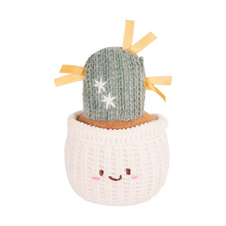 Cleo Cactus
