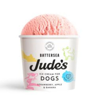Judes dog Ice Cream
