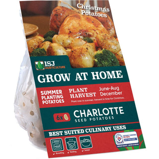 Zoar's Ark Autumn Planting Seed Potato - Charlotte 6 Tubers