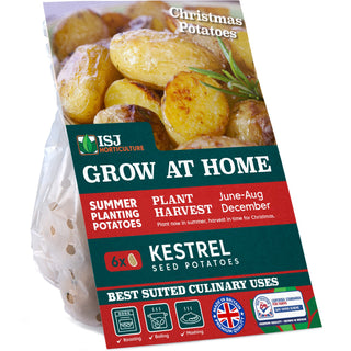 Zoar's Ark Autumn Planting Seed Potato - Kestrel 6 Tubers