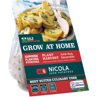 Zoar's Ark Autumn Planting Seed Potato - Nicola 6 Tubers