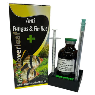 Cloverleaf Anti Fungus & Fin Rot