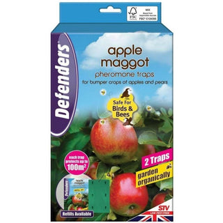 STV Apple Maggot Trap