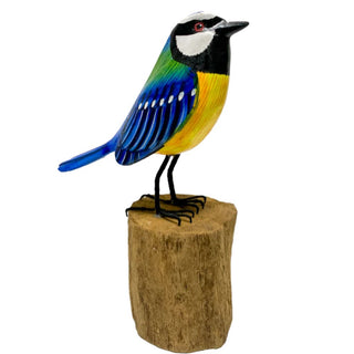 Wood Bird Blue Tit